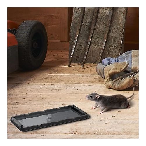  Mouse Traps Indoor for Home Rat Trap Heavy Duty-Sticky Snake Trap-12 Pre-Baited Glue Traps for Rodents