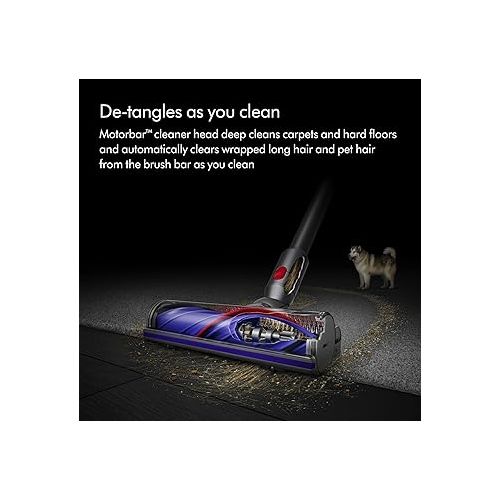 다이슨 Dyson Cyclone V10 Animal Cordless Vacuum Cleaner