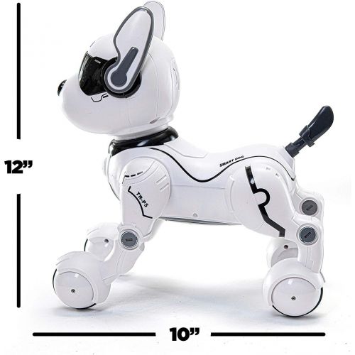  [아마존베스트]Top Race Remote Control Robot Dog Toy, Robots for Kids, Rc Dog Robot Toys for Kids 2,3,4,5,6,7,8,9,10 Year Old and up, Smart & Dancing Robot Toy, Imitates Animals Mini Pet Dog Robot…