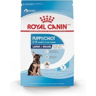 Royal Canin Size Health Nutrition Dry Large Breed Puppy Food, Supports Brain Development, Immune Support and Digestive Health, 30 lb Bag