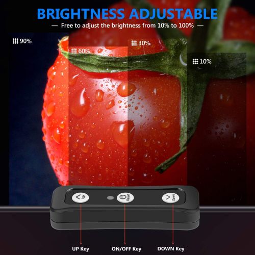 니워 [아마존베스트]Neewer Video Conference Lighting Kit for Zoom Call Meeting/Remote Working/Self Broadcasting/YouTube Video/Live Streaming: 2-Pack Dimmable 5600K LED Video Light with Scissor Arm Sta