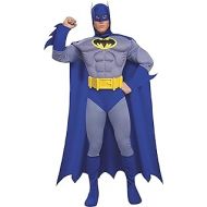 Rubies Costume Dc Heroes and Villains Collection Deluxe Muscle Chest Batman Costume
