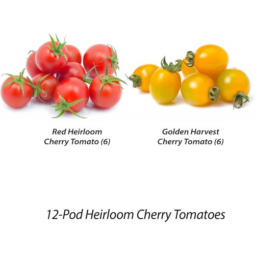  Visit the AeroGarden Store AeroGarden Red & Golden Cherry Tomato Seed Pod Kit