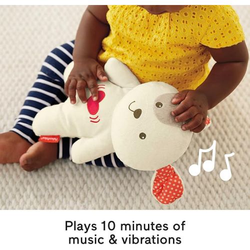 피셔프라이스 FISHER-PRICE BABY Portable Sound Machine Calming Vibrations Cuddle Soother Plush Dog Infant Toy with Music for Newborns (Amazon Exclusive)