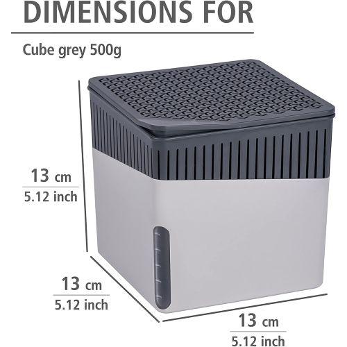  WENKO Portable Cube Dehumidifier, Moistre Absorber for Home, Closets, Safes and Cars Against Musty Smell and Mold, Grey