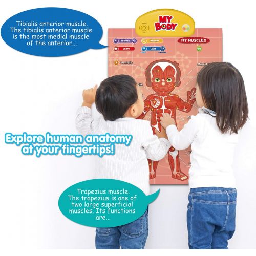  [아마존베스트]BEST LEARNING i-Poster My Body - Interactive Educational Human Anatomy Talking Game Toy System to Learn Body Parts, Organs, Muscles and Bones for Kids Aged 5 to 12 Years Old