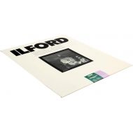 [아마존베스트]Ilford Multigrade FB Classic, Enlarging Paper 16x20, 10 Sheets, Glossy