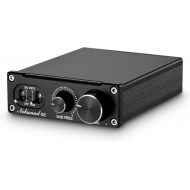 [아마존베스트]Douk Audio Nobsound G2 Subwoofer Amplifier Mono Power Amp PBTL/BTL Bridge 100W Mini Sub Amp Home Theater