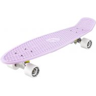 Ridge Skateboards Pastel Nickel Cruiser