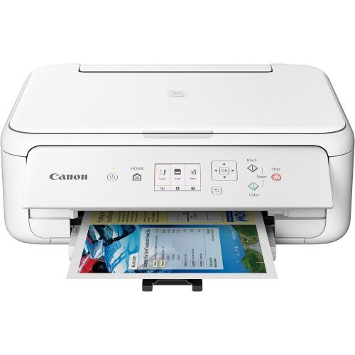 캐논 Canon TS5120 Wireless All-In-One Printer with Scanner and Copier: Mobile and Tablet Printing, with Airprint(TM) and Google Cloud Print compatible, Black