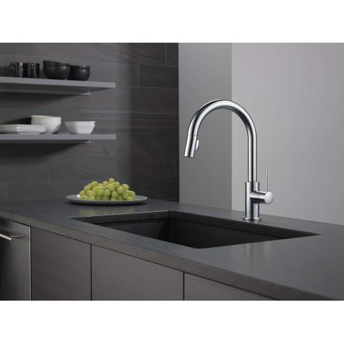  Delta Faucet Trinsic Single-Handle Kitchen Sink Faucet with Pull Down Sprayer and Magnetic Docking Spray Head, Arctic Stainless 9159-AR-DST