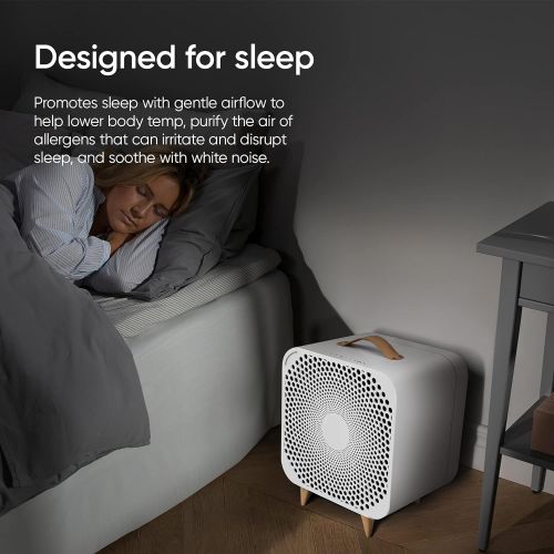  BLUEAIR Pure Fan Auto, 3-Speed HEPASilent Room Fan, Cools + Cleans, Removes Allergens Dust Pollen for Floor Table Desk and Bedrooms