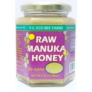 Raw Manuka Honey YS Eco Bee Farms 12 oz Paste (Pack of 2)
