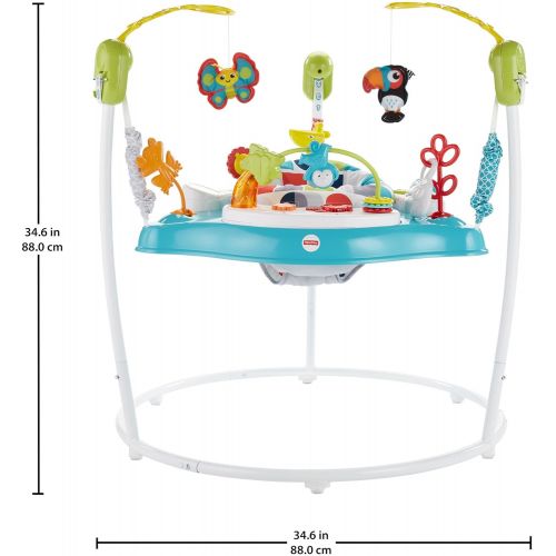  Fisher-Price Color Climbers Jumperoo Amazon Exclusive, Multi