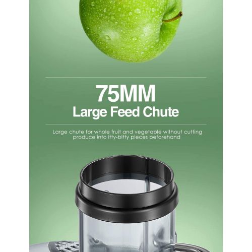  A/C Juicer Machines 1000 W Juicer Extractor Whole Fruit and Vegetables, Dual Speed Juicer with Higher Juice and Nutrition Yield, Anti-Drip Function, Stainless Steel, Silver and Bla