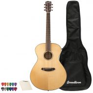 Breedlove 6 String Acoustic Guitar Right (DSCO01SSMA-KIT-1