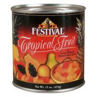 Festival Tropical Fruit in Light Syrup and Passion Fruit juices, 15-Ounce (Pack of 24)