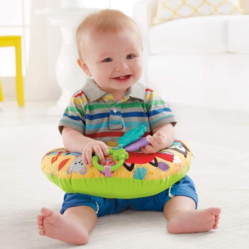  Fisher-Price Comfort Vibe Play Wedge