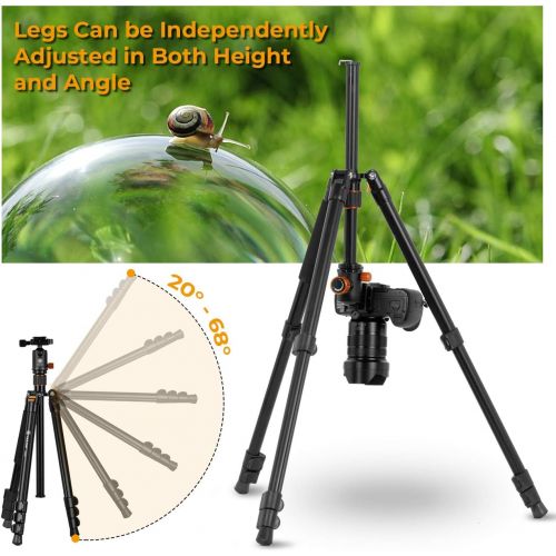  TARION Camera Tripod Monopod 61in with Panorama Ball Head Aluminium Travel Tripod for DSLR Mirrorless Cameras Support Macro Shots Counter Weight 13lb Payload Lightweight 16.9 Folda