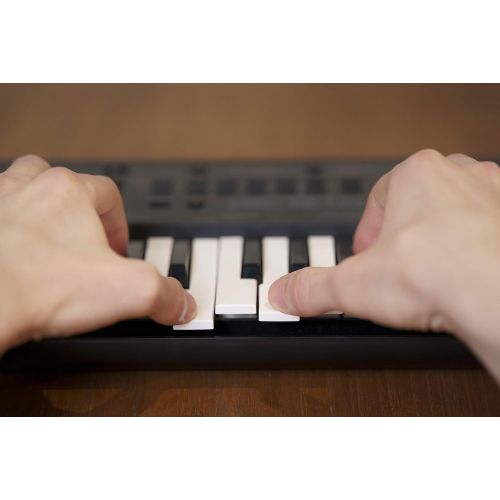 야마하 Yamaha Portable Keyboard (PSS-A50)