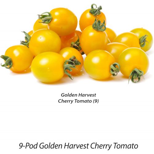  Visit the AeroGarden Store AeroGarden Golden Cherry Tomato Seed Pod Kit