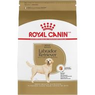 Royal Canin Labrador Retriever Adult Dry Dog Food, 30 lb bag