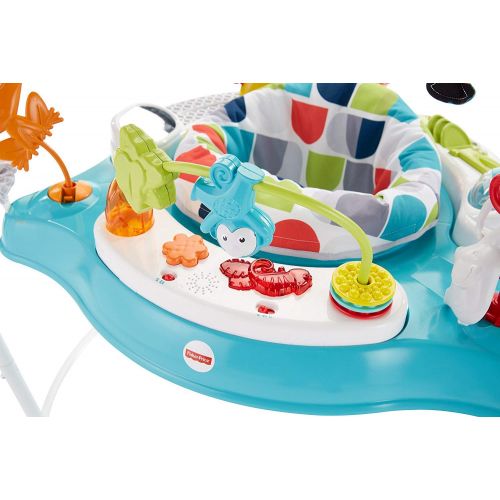  Fisher-Price Color Climbers Jumperoo Amazon Exclusive, Multi