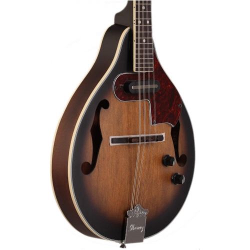  [아마존베스트]Ibanez M510EOVS A Style Acoustic Electric Mandolin Open Pore Vintage Sunburst Fi