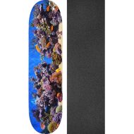 Mini Logo Fish Tank Skateboard Deck 291/K-20-7.75 x 31.08 with Mob Grip Perforated Black Griptape - Bundle of 2 Items