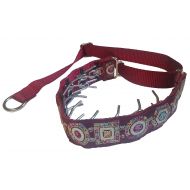 Lola's Limited Lolas Limited Secret Powers Training Collar (3.2 mm, 8 prongs; Thick Fur, 15-22 Neck)