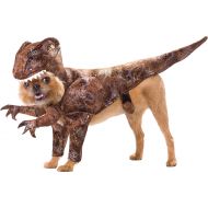 California Costumes Raptor Pet Pet Costume - Large