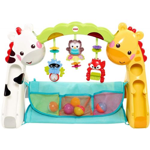  Fisher-Price Newborn-To-Toddler Play Gym With Music and Lights [Amazon Exclusive]