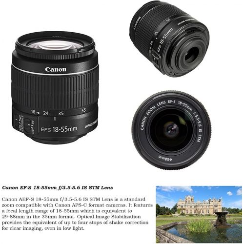 캐논 Canon EOS 80D DSLR Camera with 18-55mm Lens, 75-300mm Lens & 500mm Preset Lens + Premium Accessory Bundle Including Camera Case, TTL Speed Light Flash, 64GB Memory, Monopod, Aux Le