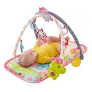 Fisher-Price 3-in-1 Musical Activity Gym, Pink