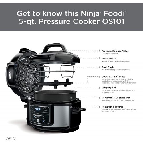 닌자 Ninja OS101 Foodi 9-in-1 Pressure Cooker and Air Fryer with Nesting Broil Rack, 5 Quart, Stainless Steel