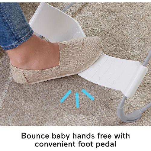  Fisher-Price See and Soothe Deluxe Bouncer Hearthstone, Soothing Baby Seat for Infants and Newborns [Amazon Exclusive]