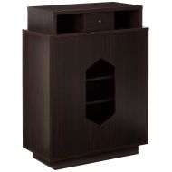 24/7 Shop at Home 247SHOPATHOME YNJ-323-5 Whitley Contemporary Shoe Cabinet Cappuccino