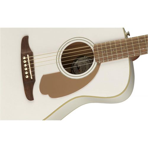  [아마존베스트]Fender guitar