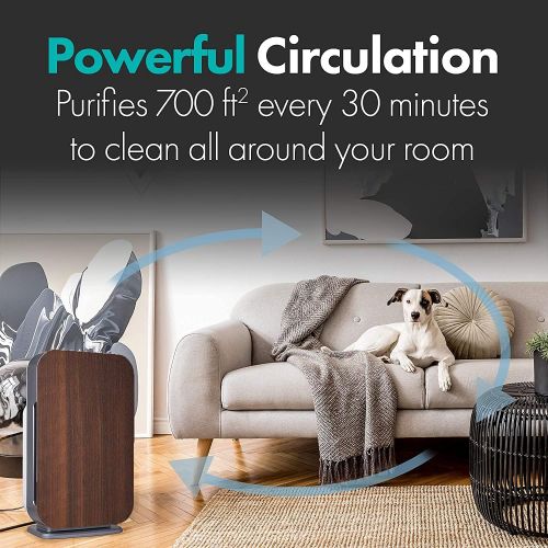  Alen FLEX Air Purifier, Quiet Air Flow for Large Rooms, 700 SqFt, Air Cleaner for Allergens, Dust, Mold, Pet Odors with Long Filter Life