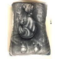 Disney Parks Star Wars Donald Duck as hans in Carbonite Throw Pillow New with tag