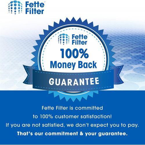  Fette Filter - Vacuum Filters Compatibe with Hoover Primary Filter Assembly #304087001 (Pack of 2)