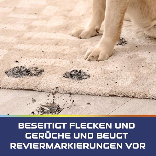  [아마존베스트]Vanish Heimtextil-Experte Carpet Cleaner - Cleaning Foam for Carpet & Upholstery Care for Targeted Use - Against Dirt, Pet Hair & Urine Odour - 1 x 650 ml