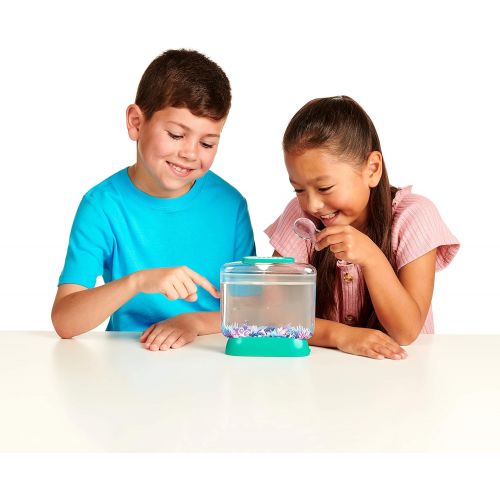  [아마존베스트]Little Live Pets Little Live Aqua Dragons - Deep Sea Habitat - LED Light Up Tank Hatch and Grow Aquatic Pets