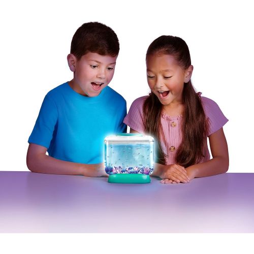  [아마존베스트]Little Live Pets Little Live Aqua Dragons - Deep Sea Habitat - LED Light Up Tank Hatch and Grow Aquatic Pets