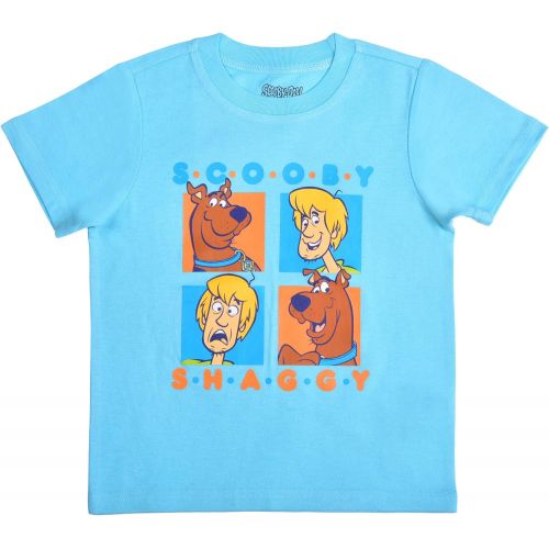  Warner Bros. Warner Bros Scooby and Shaggy 2 Piece Jogger Set for Boys, Short Sleeve Shirt and Sports Pants