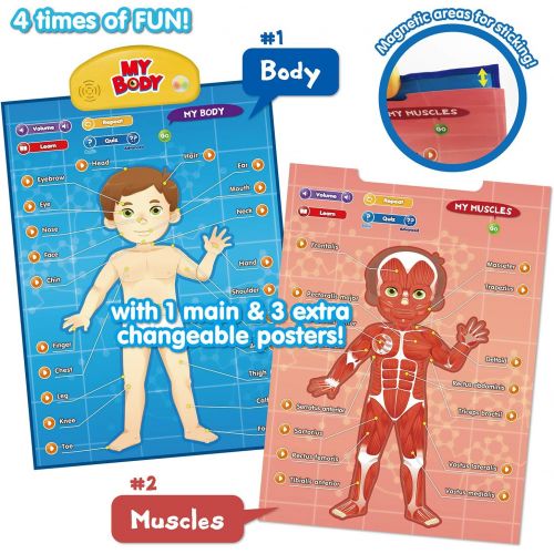  [아마존베스트]BEST LEARNING i-Poster My Body - Interactive Educational Human Anatomy Talking Game Toy System to Learn Body Parts, Organs, Muscles and Bones for Kids Aged 5 to 12 Years Old