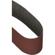 Dewalt DT3307-QZ K220 Sanding belt (10 Piece), 2.95 x 20.98