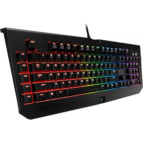 레이저 Razer BlackWidow Chroma: Clicky RGB Mechanical Gaming Keyboard - 5 Macro Keys - Razer Green Mechanical Switches (Tactile and Clicky)