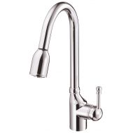 Danze D450015 Melrose Single Handle Pull-Down Kitchen Faucet, Chrome