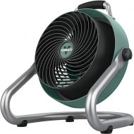 Vornado Heavy Duty Air Circulator Shop, 3-Speed Floor Fan, Adjustable Head, Easy-Clean Grill, 293HD (Large), Green, 16 in